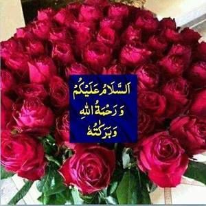 Meet your Posher, Qaiser